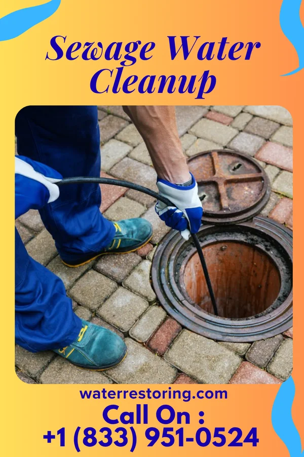 Sewage Water Cleanup in Flemington, MO